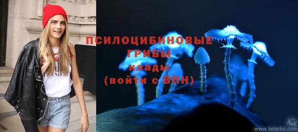 ALPHA PVP Верея