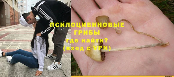 ALPHA PVP Верея