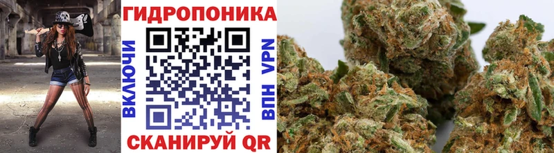 мега рабочий сайт  Новоузенск  МАРИХУАНА семена  закладка 